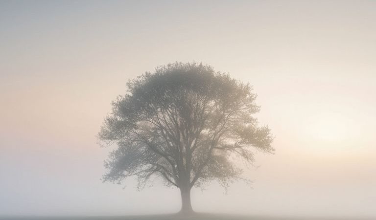A Guide on How to Use Negative Space in Photography