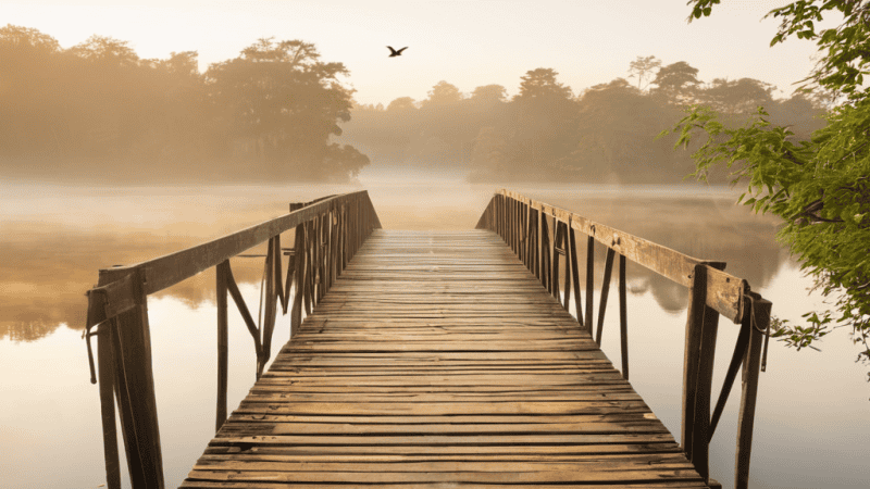 The Connectioneering Manifesto: Building Bridges in a Fragmented World